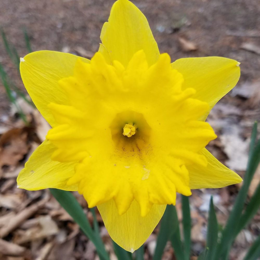 Meet your Posher, Sonya